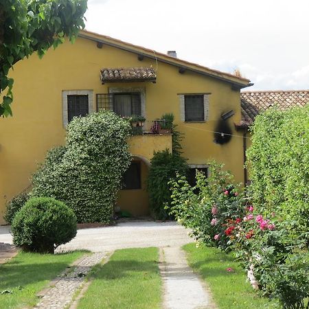 Castelnuovo di FarfaIl Gelso Nero别墅 外观 照片