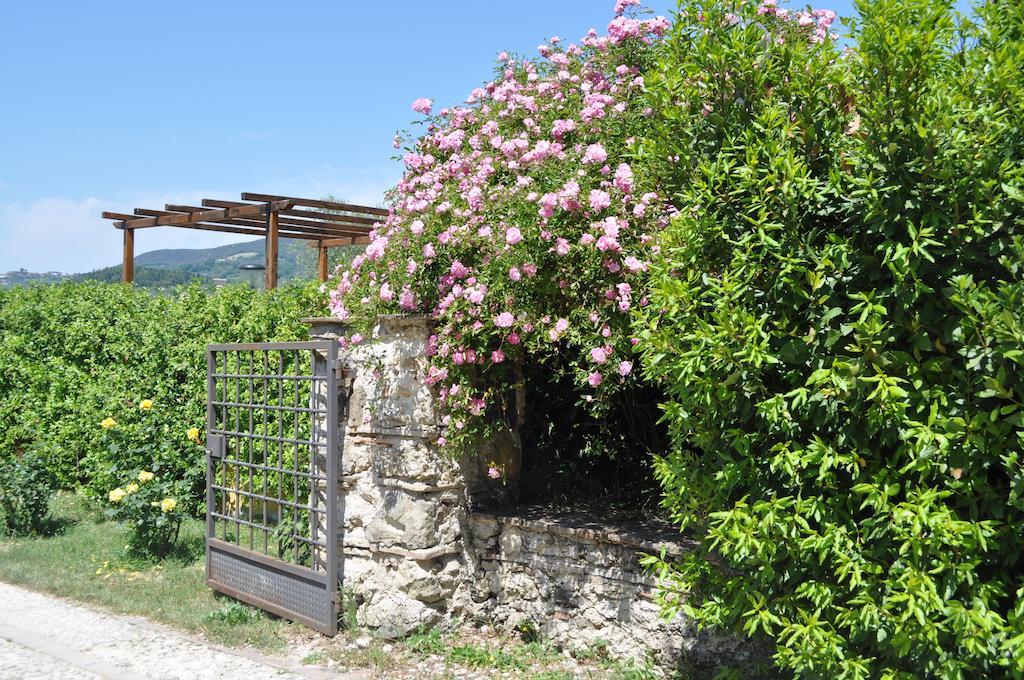 Castelnuovo di FarfaIl Gelso Nero别墅 外观 照片